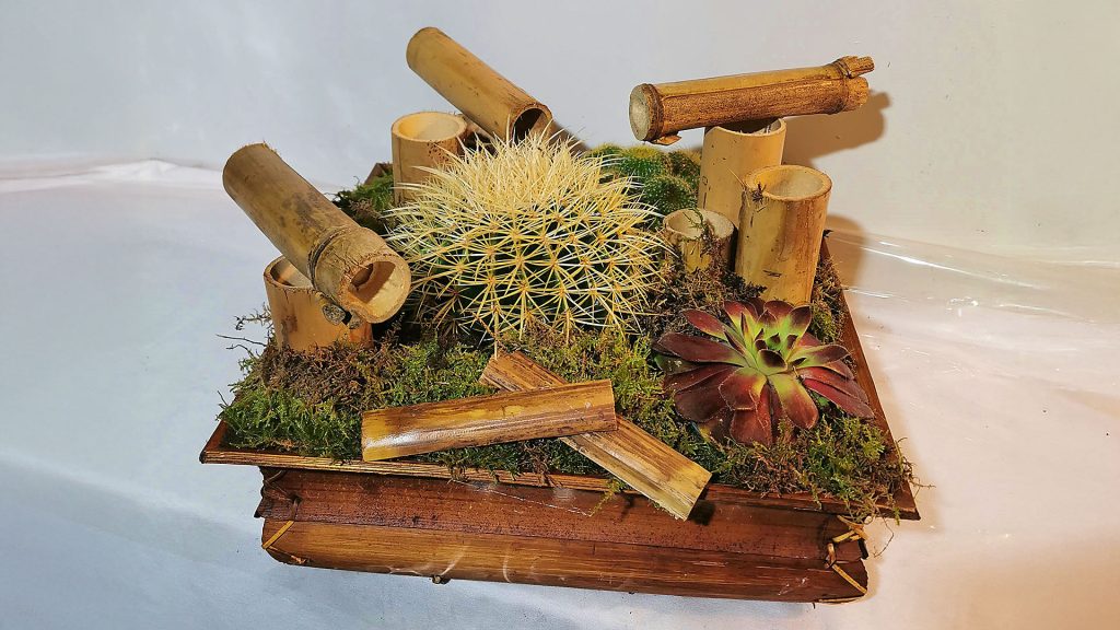 Composición de plantas
