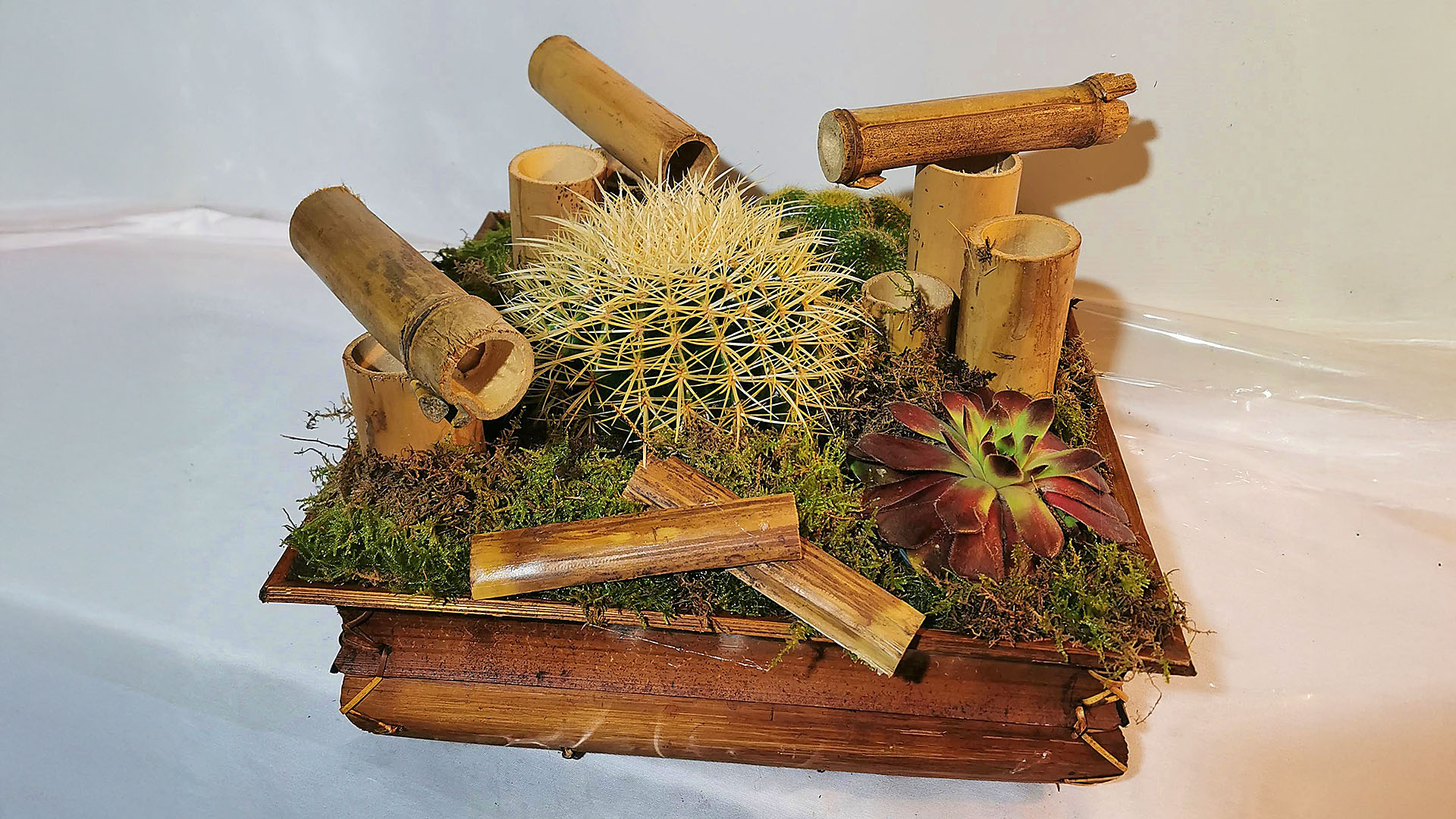 Composición de plantas