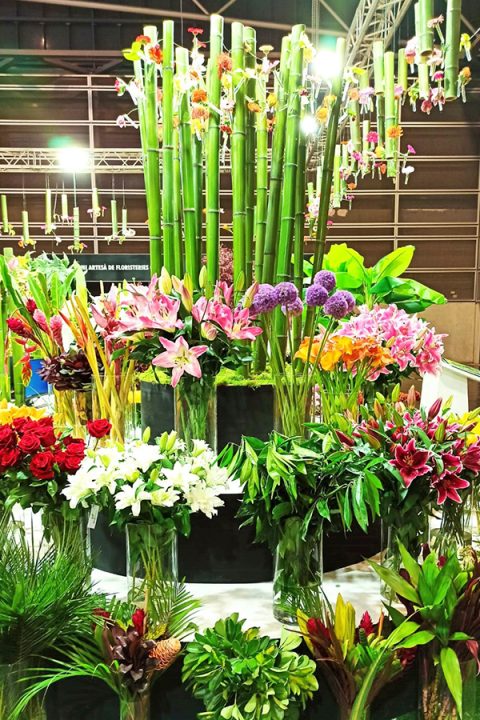 DECORACIONES